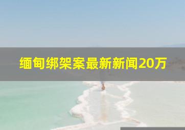 缅甸绑架案最新新闻20万