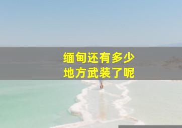 缅甸还有多少地方武装了呢