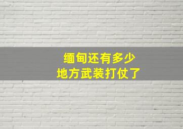 缅甸还有多少地方武装打仗了