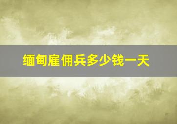 缅甸雇佣兵多少钱一天