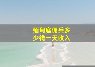 缅甸雇佣兵多少钱一天收入