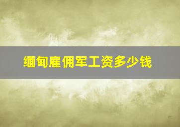 缅甸雇佣军工资多少钱