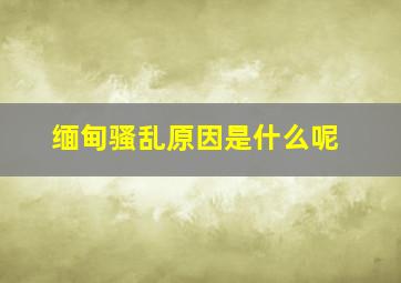 缅甸骚乱原因是什么呢