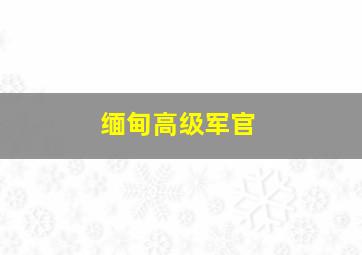 缅甸高级军官