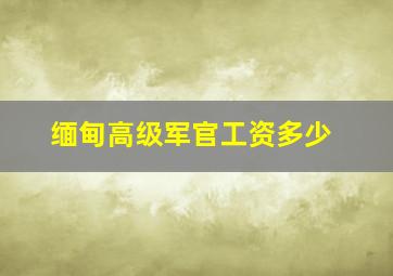 缅甸高级军官工资多少