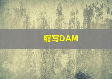 缩写DAM