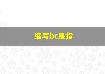 缩写bc是指