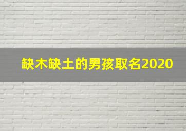 缺木缺土的男孩取名2020