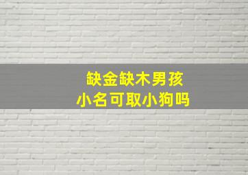 缺金缺木男孩小名可取小狗吗