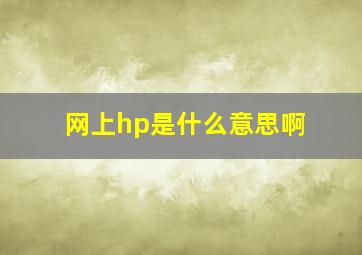 网上hp是什么意思啊