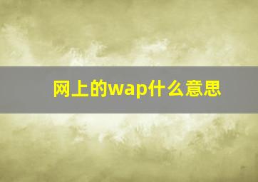 网上的wap什么意思