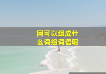 网可以组成什么词组词语呢