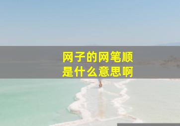 网子的网笔顺是什么意思啊