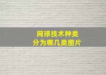 网球技术种类分为哪几类图片