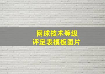 网球技术等级评定表模板图片