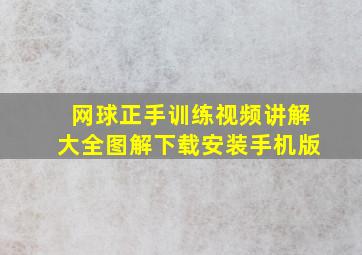 网球正手训练视频讲解大全图解下载安装手机版