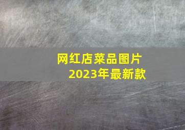 网红店菜品图片2023年最新款