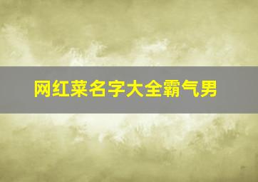 网红菜名字大全霸气男