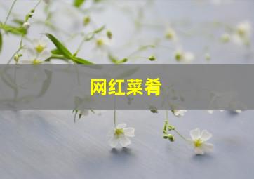 网红菜肴