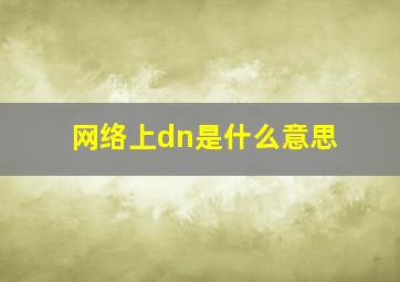 网络上dn是什么意思