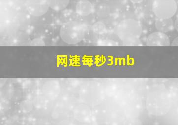 网速每秒3mb