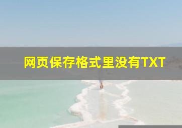 网页保存格式里没有TXT