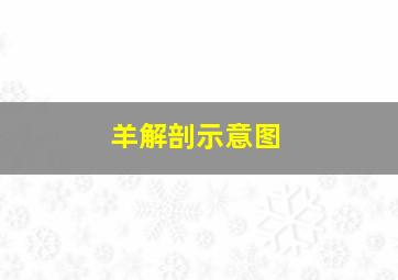 羊解剖示意图