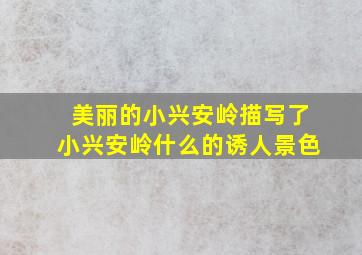 美丽的小兴安岭描写了小兴安岭什么的诱人景色