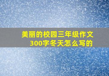 美丽的校园三年级作文300字冬天怎么写的