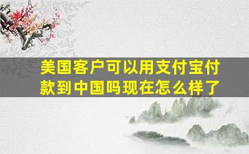 美国客户可以用支付宝付款到中国吗现在怎么样了