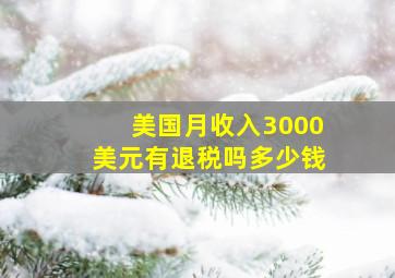 美国月收入3000美元有退税吗多少钱