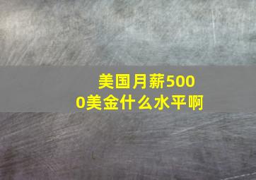 美国月薪5000美金什么水平啊