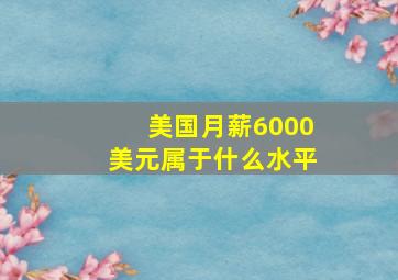 美国月薪6000美元属于什么水平