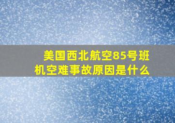 美国西北航空85号班机空难事故原因是什么