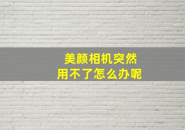 美颜相机突然用不了怎么办呢