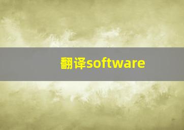 翻译software