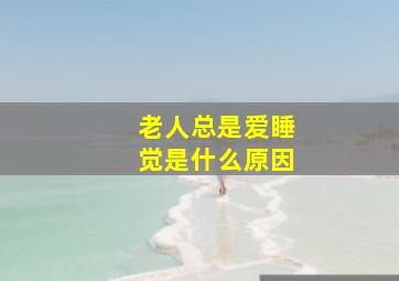 老人总是爱睡觉是什么原因