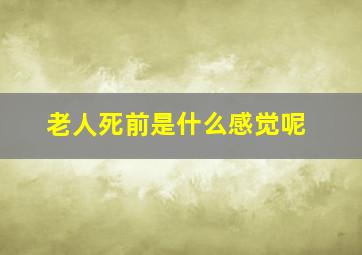 老人死前是什么感觉呢