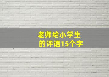 老师给小学生的评语15个字