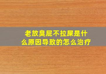 老放臭屁不拉屎是什么原因导致的怎么治疗