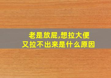 老是放屁,想拉大便又拉不出来是什么原因