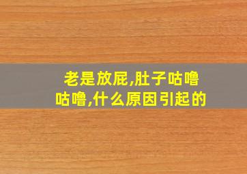 老是放屁,肚子咕噜咕噜,什么原因引起的