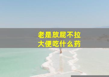 老是放屁不拉大便吃什么药