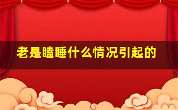 老是瞌睡什么情况引起的