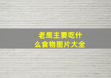 老鹰主要吃什么食物图片大全