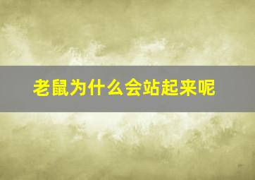 老鼠为什么会站起来呢