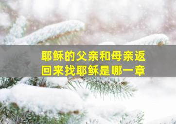 耶稣的父亲和母亲返回来找耶稣是哪一章