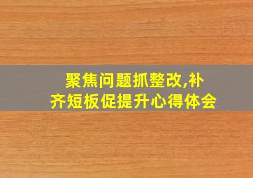 聚焦问题抓整改,补齐短板促提升心得体会