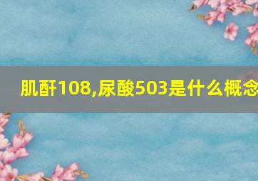 肌酐108,尿酸503是什么概念