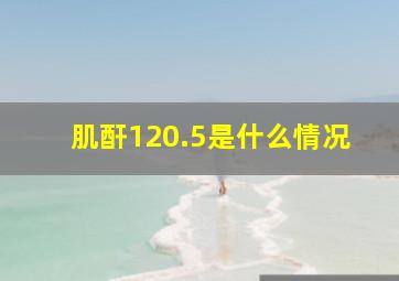 肌酐120.5是什么情况